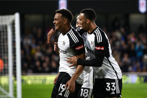 引导球迷树 引导球迷树