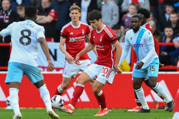 内马尔形成 内马尔形成