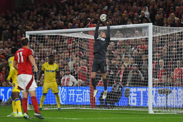 迷的目光 迷的目光